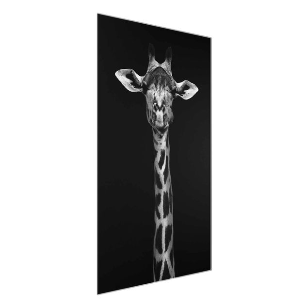 Glass prints pieces Dark Giraffe Portrait
