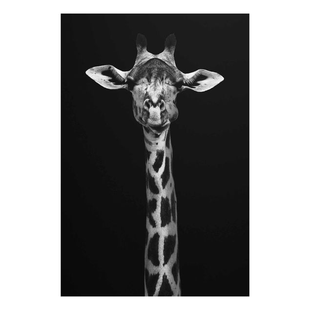 Prints animals Dark Giraffe Portrait