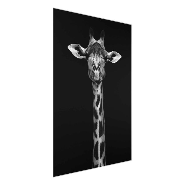 Glass prints pieces Dark Giraffe Portrait