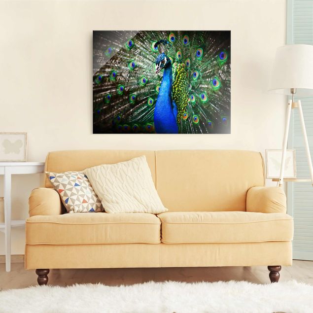 Feather canvas Noble Peacock