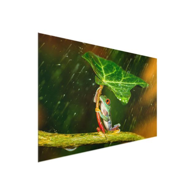 Floral prints Frog In The Rain