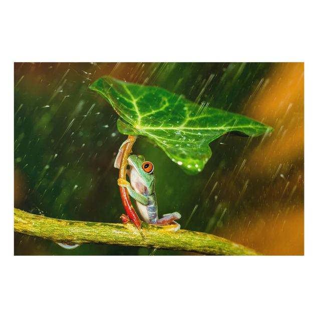 Green canvas wall art Frog In The Rain