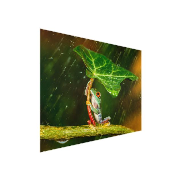 Floral prints Frog In The Rain