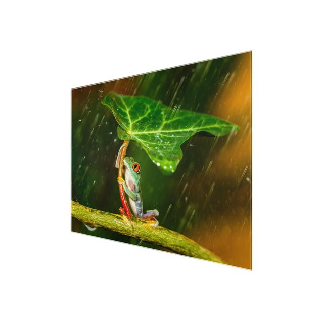 Prints Frog In The Rain
