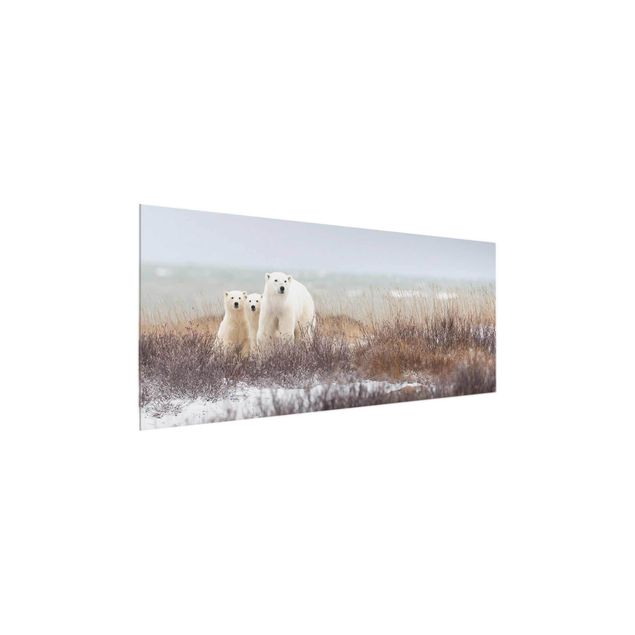 Prints animals Polar Bear And Her Cubs