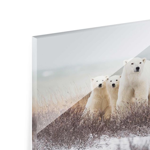 Glas Magnettafel Polar Bear And Her Cubs