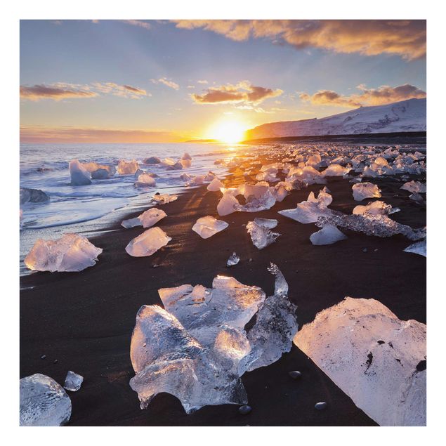 Sea life prints Chunks Of Ice On The Beach Iceland