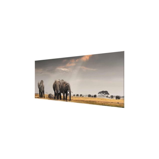 Glass prints landscape Elephants in the Savannah