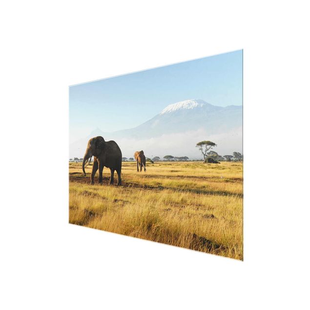 Animal wall art Elephants In Front Of The Kilimanjaro In Kenya