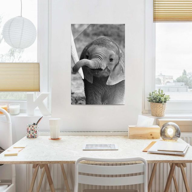 Prints elefant Baby Elephant