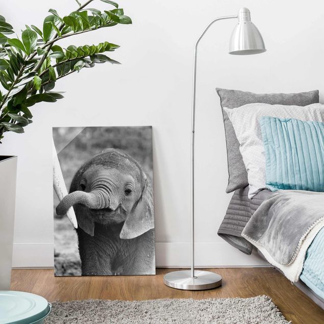 Glass prints black and white Baby Elephant