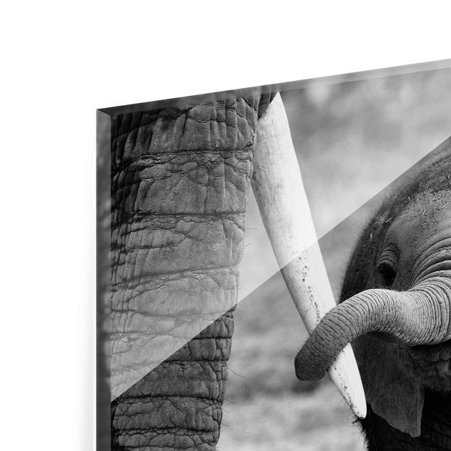 Prints Baby Elephant