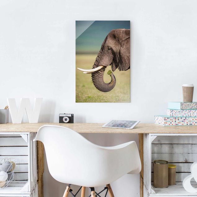 Glass prints pieces Feeding Elephants In Africa