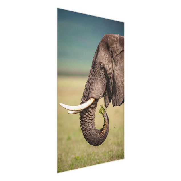 Prints animals Feeding Elephants In Africa