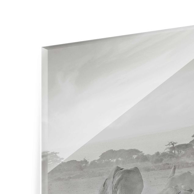 Prints black and white Herd Of Elephants