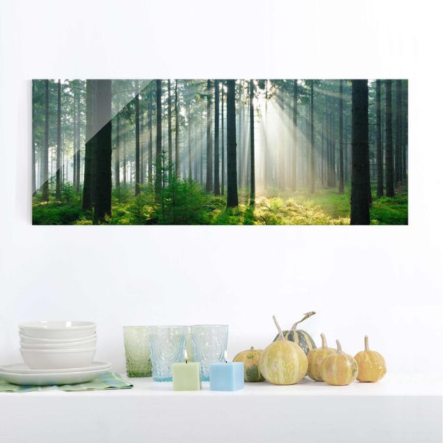 Kitchen Enlightened Forest