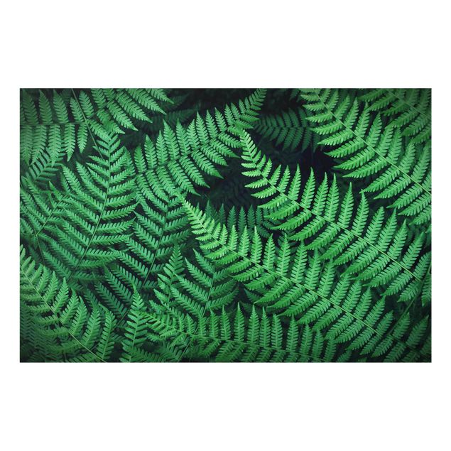 Prints green Fern