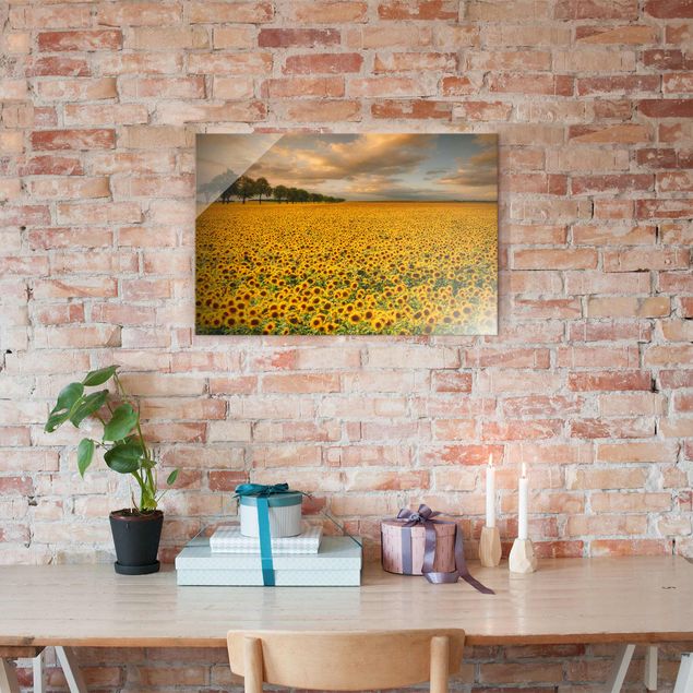 Landscape wall art Field With Sunflowers
