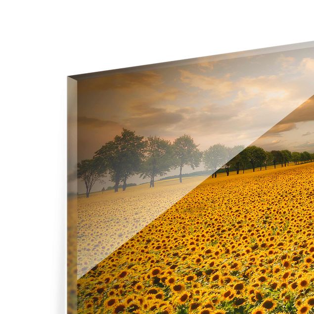 Yellow art prints Field With Sunflowers