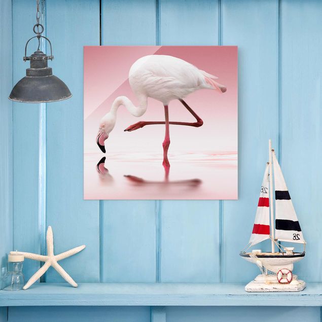 Animal canvas Flamingo Dance