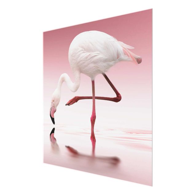 Prints Flamingo Dance