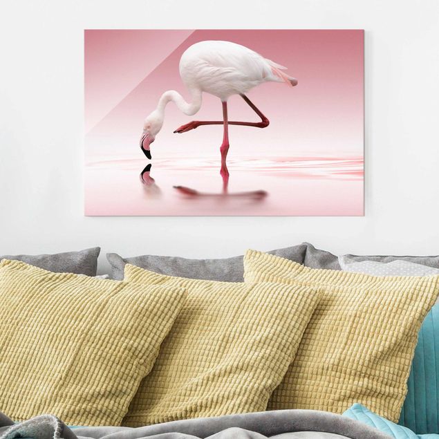 Kitchen Flamingo Dance