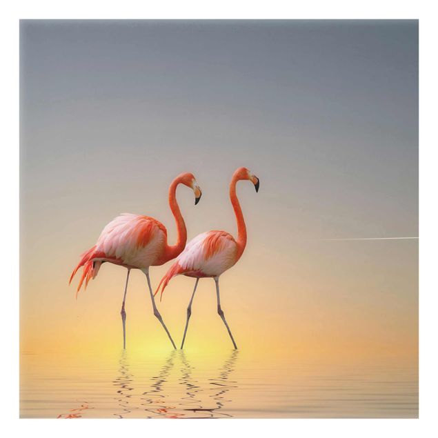 Glass prints landscape Flamingo Love
