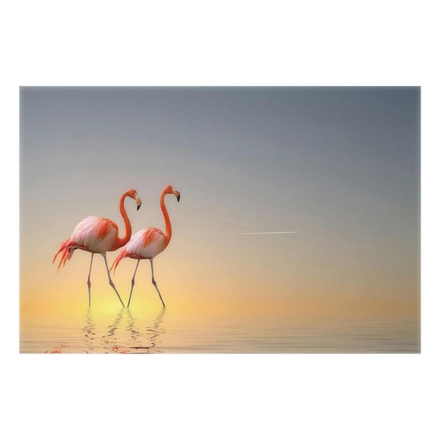Glass prints landscape Flamingo Love
