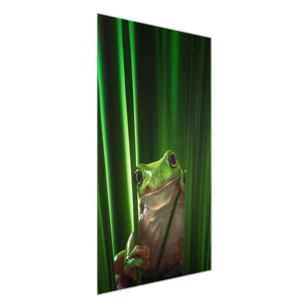 Contemporary art prints Merry Frog