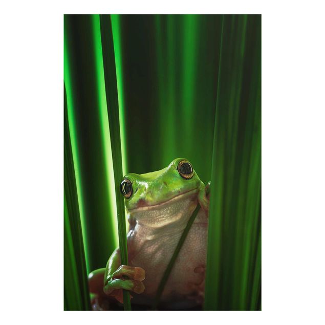 Prints Merry Frog