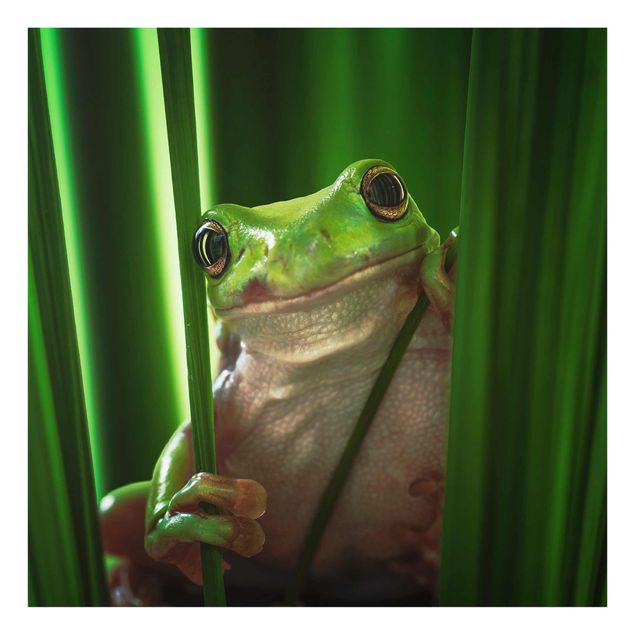 Prints Merry Frog