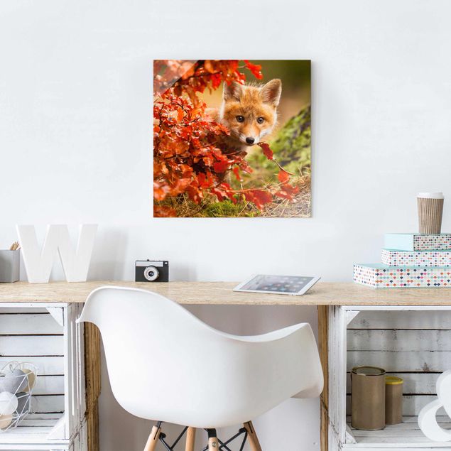 Prints landscape Fox In Autumn