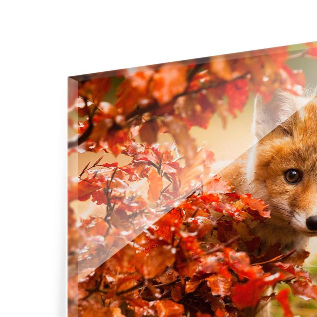 Orange print Fox In Autumn