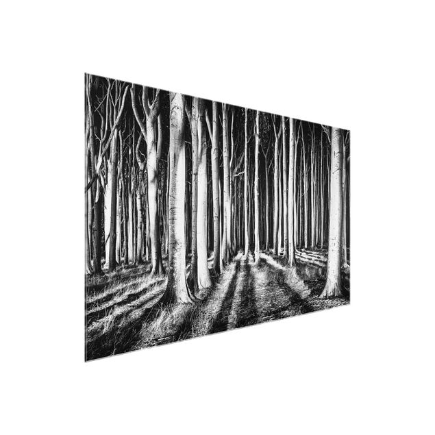 Glass prints black and white Spooky Forest