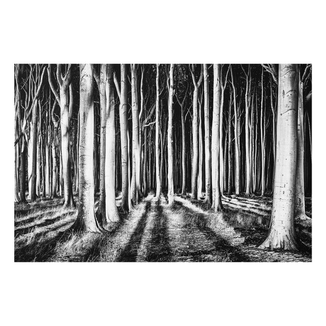 Glass prints landscape Spooky Forest