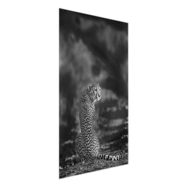 Animal canvas Cheetah In The Wildness
