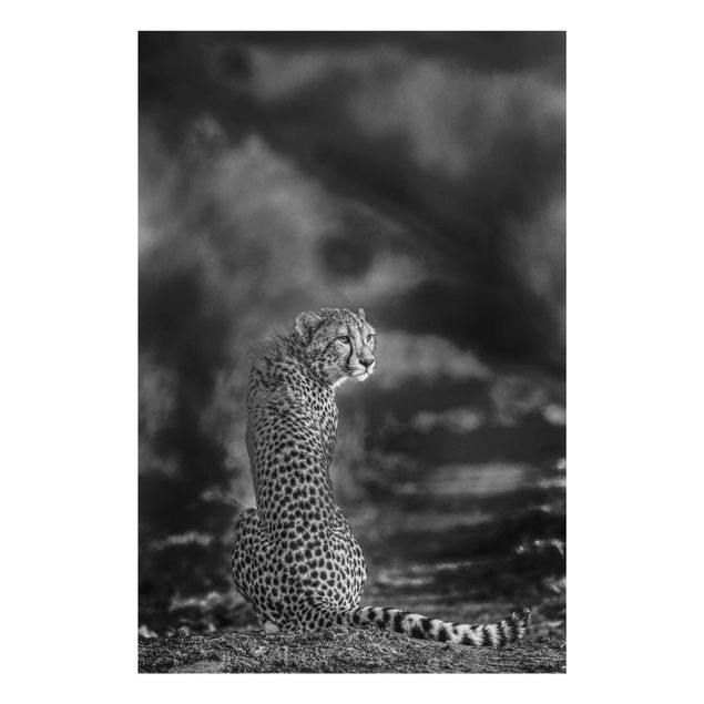 Black and white wall art Cheetah In The Wildness