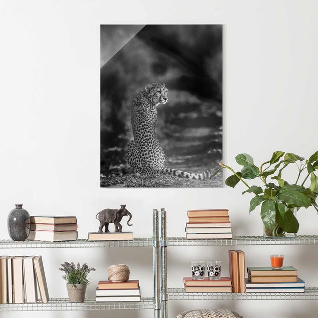 Glass prints black and white Cheetah In The Wildness