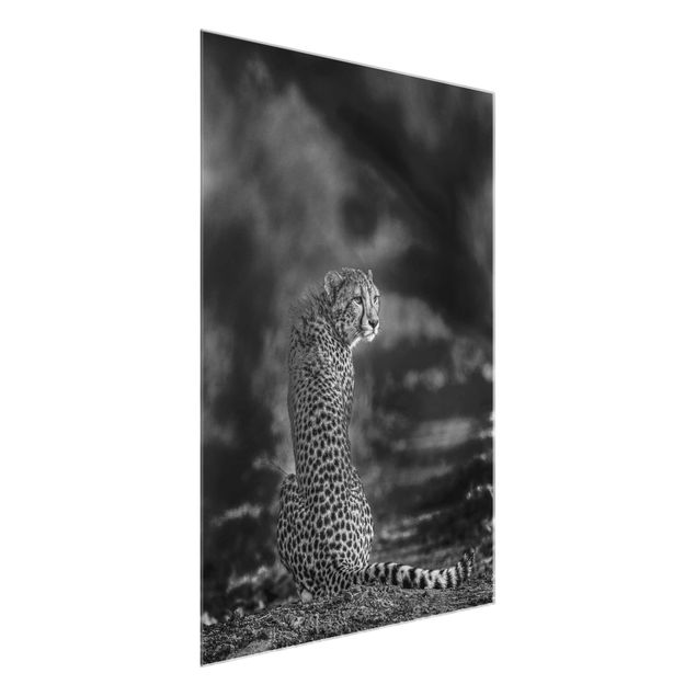 Animal canvas Cheetah In The Wildness