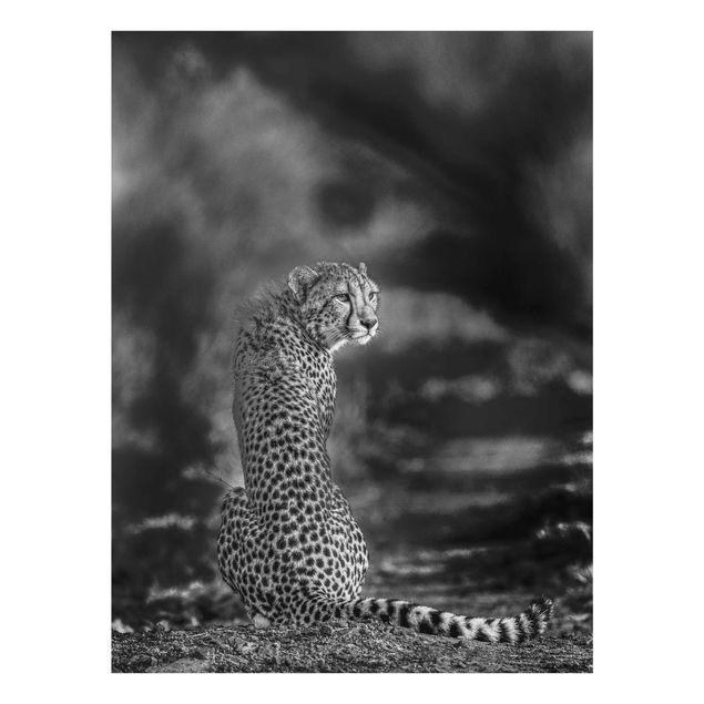 Black and white wall art Cheetah In The Wildness