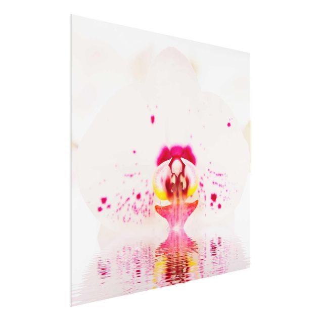 Glass prints flower Dotted Orchid On Water