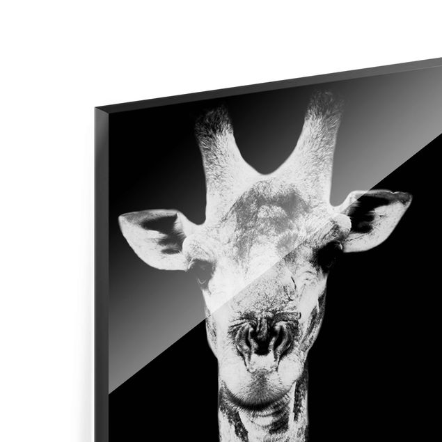 Glas Magnettafel Giraffe Duo black & white