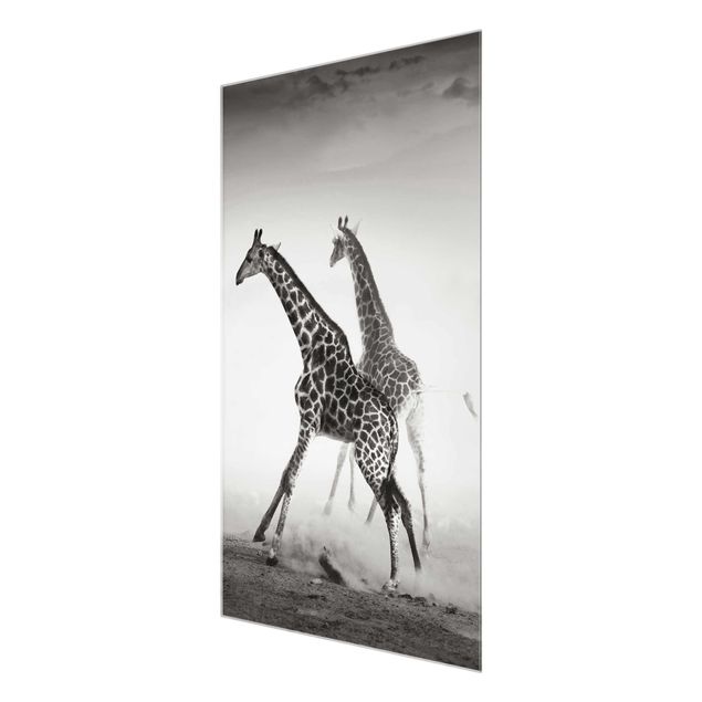 Black and white wall art Giraffe Hunt