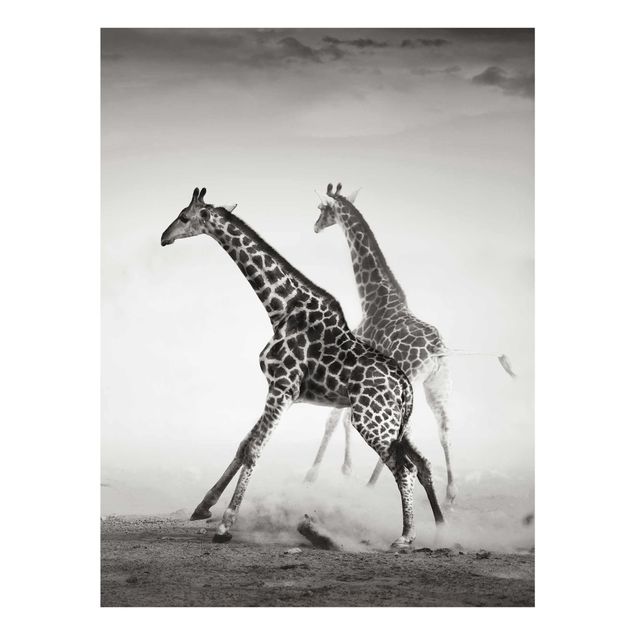 Animal canvas Giraffe Hunt