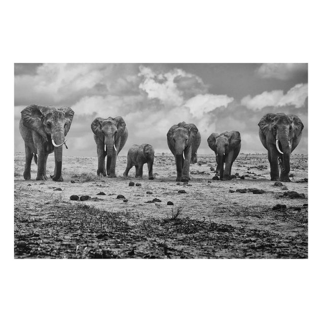 Black and white wall art Large Familiy