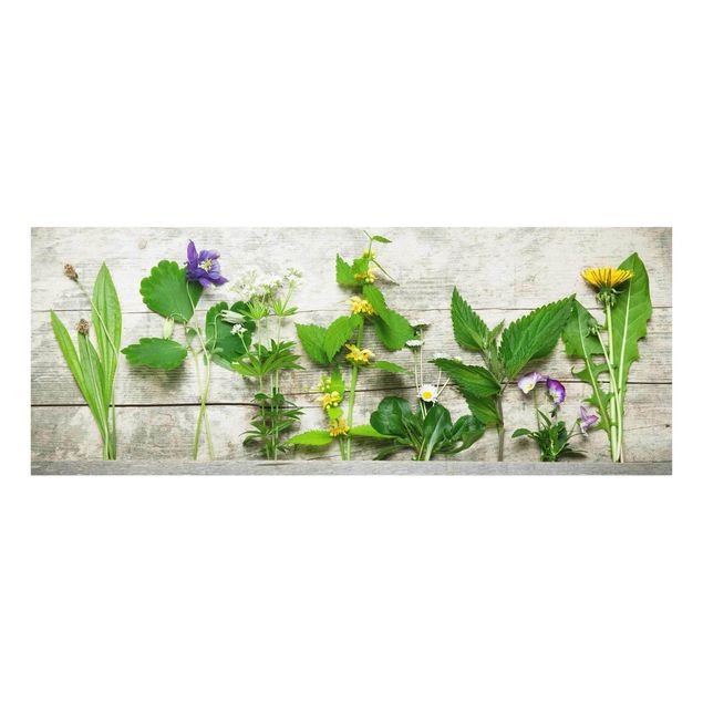 Glas Magnettafel Medicinal and Meadow Herbs