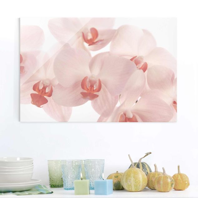 Kitchen Bright Orchid Flower Wallpaper - Svelte Orchids