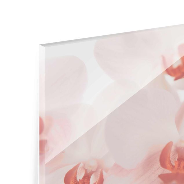 Glas Magnetboard Bright Orchid Flower Wallpaper - Svelte Orchids
