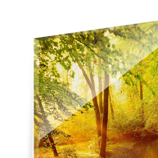 Prints Autumn Forest