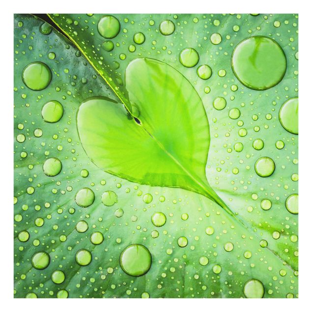 Green canvas wall art Heart Of Morning Dew